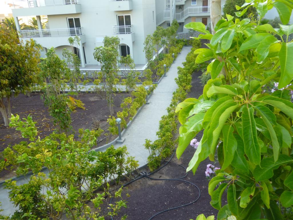 פאלם-מאר Comfortable Apartment With Amazing Sea Views מראה חיצוני תמונה